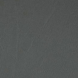 Grey (3120)