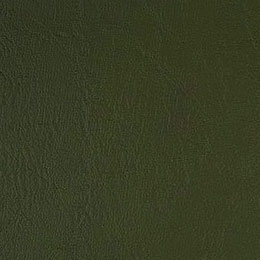Olive (3119)