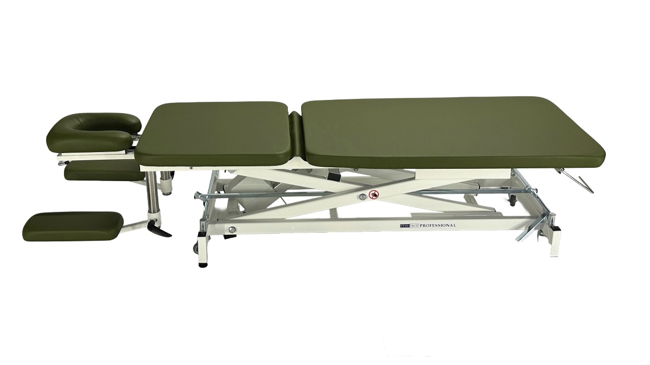 Professional X1 - Image 5